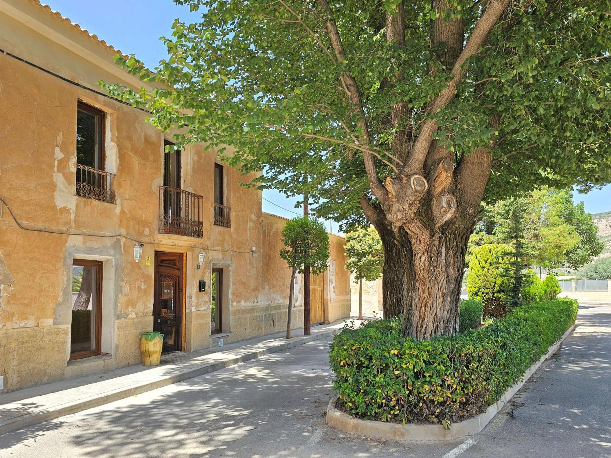 Bed and Breakfast Casa Rodriguillo à Pinoso Extérieur photo